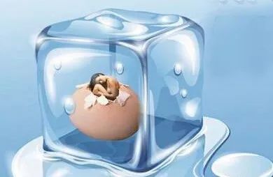卵子冷冻--生育能力保鲜，去未来生孩子