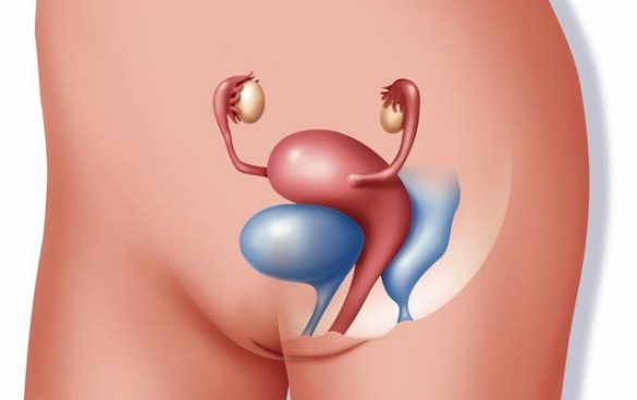 做试管婴儿会影响卵巢健康吗