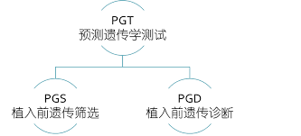 第三代试管婴儿技术PGS和PGD之间的关系