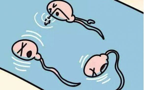 科普丨精子危机：三大类因素或将加速精子的“灭亡”