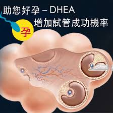 DHEA帮助改善卵巢功能，提高受孕几率