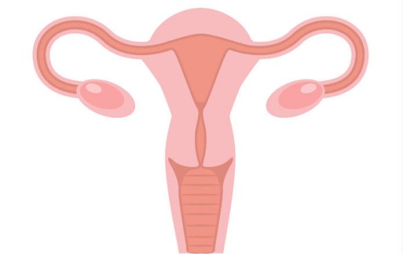 做好卵巢功能保养，提高试管婴儿成功率！