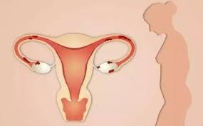 试管婴儿取卵术后如何保养卵巢？