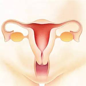 子宫内膜增生，对试管婴儿的影响是什么？