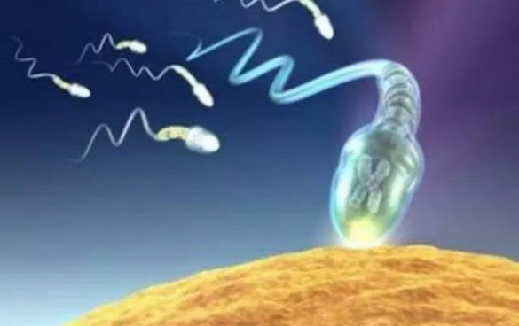 【备孕小课堂】精子DNA碎片是什么？影响怀孕吗？