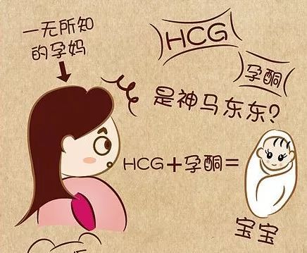 HCG翻倍的传说，试管怀孕不是梦