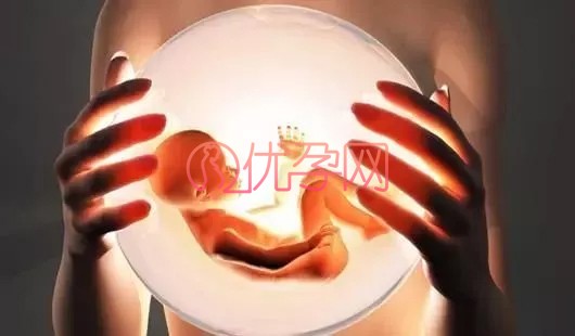 探秘“冰宝宝”诞生中必不可少的胚胎冷冻技术